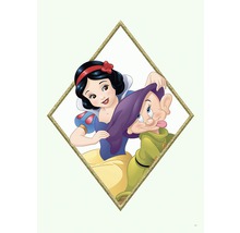 Blanche-Neige et un nain dans un cadre en forme de losange