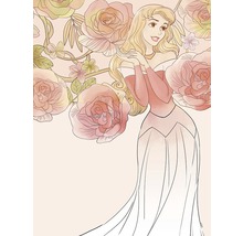 Illustration de la princesse Aurore avec des roses