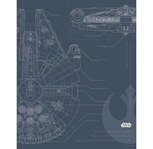 Poster Star Wars Plan de construction du Faucon Millenium