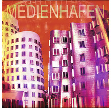 Photo d''architecture du Medienhafen de Düsseldorf