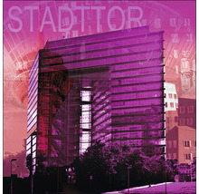 Vue du bâtiment Stadttor