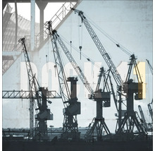 Plusieurs grues de construction devant un bâtiment
