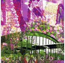 Composition de fleurs et de structure de serre