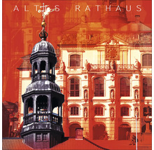 Altes Rathaus Illustration