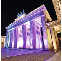 La porte de Brandebourg avec des colonnes et un quadrige de nuit