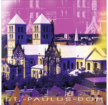 Ansicht St. Paulus Dom