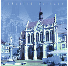 Erfurter Rathausansicht mit Details zur Architektur