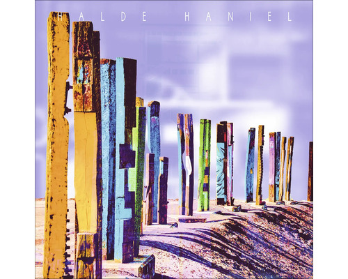 Vue sur Halde Haniel avec des poteaux en bois peints