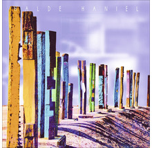 Pochette d''album avec poteaux en bois colorés