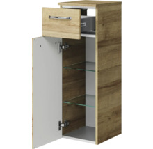 Badezimmerschrank mit Schublade, Tür und Glasböden