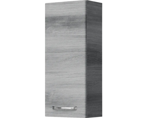 Hängeschrank mit Tür und Griff