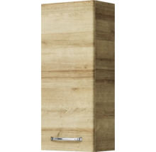 Hängeschrank mit Tür und Griff