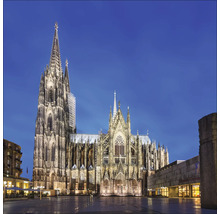 Vue sur la cathédrale de Cologne de nuit