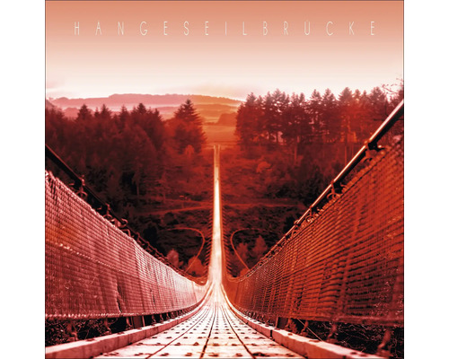Hängebrücke über Waldlandschaft