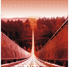 Hängeseilbrücke über Wald