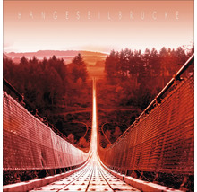 Hängeseilbrücke über Waldlandschaft
