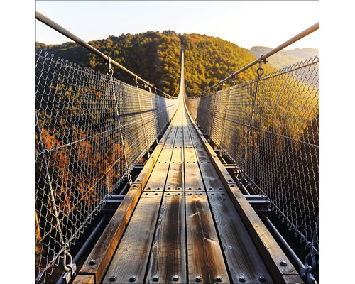 Holzhängebrücke mit Stahlseilen und Maschendrahtzaun