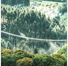 Eine lange Hängebrücke zwischen bewaldeten Hügeln.