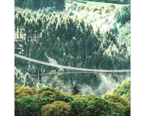 Eine lange Hängebrücke zwischen bewaldeten Hügeln.