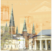 Illustration der Stadt Oldenburg mit Gebäuden und Kirchtürmen