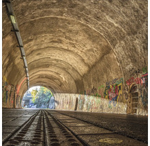 Vue à travers un tunnel avec des graffitis sur les murs et de la lumière au bout