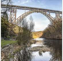 Pont ferroviaire au-dessus d''une rivière, entouré d''arbres