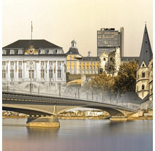 Vue de la ville de Bonn avec pont sur le Rhin
