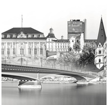 Photo en noir et blanc de bâtiments et d''un pont