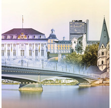 Horizon avec pont et bâtiments