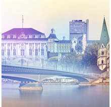 Vue de Bonn avec pont et divers bâtiments