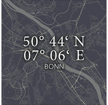 Plan de la ville de Bonn avec coordonnées
