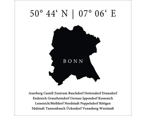Tableau en verre Bonn VIII 50x50 cm