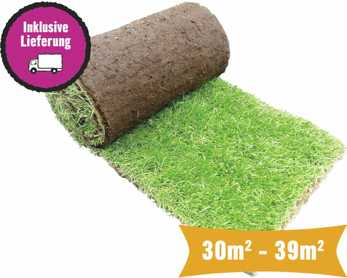 Gazon en rouleau sport & jeu quantité de commande 30-39 m² pelé du jour, résistant, régénération rapide, pour les emplacements ensoleillés à semi-ombragés, idéal pour les familles Gazon en rouleau, 30 à 39 mètres carrés