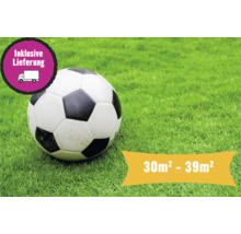 Ballon de football sur gazon avec indication de la surface de 30 mètres carrés à 39 mètres carrés et livraison incluse