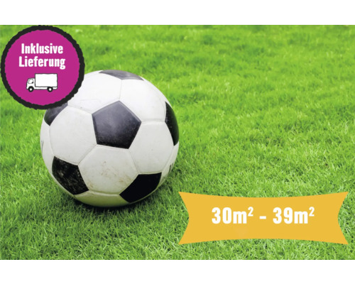 Rollrasen Profi-Sportrasen Bestellmenge 30-39 m² tagesfrisch geschält, extrem belastbar und trittfest, höherer Pflegeaufwand, ideal für Sportanlagen, für sonnige Lage Fußball auf Rasen mit Angabe der Fläche 30 Quadratmeter bis 39 Quadratmeter und inklusive Lieferung