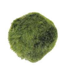 Boule de mousse pour aquariums