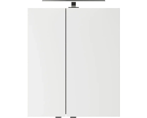 Armoire de salle de bain à deux portes