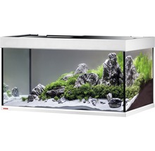 Aquarium mit Steinen und Pflanzen
