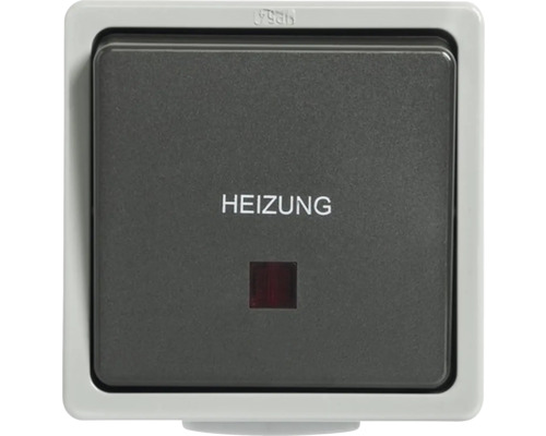 Interrupteur de chauffage IP54 pour pièce humide pose en saillie gris clair, gris foncé Standard IP54