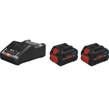Chargeur Bosch et deux batteries ProCore 18V