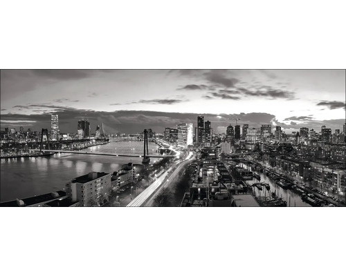 Tableau en verre Rotterdam II 125x50 cm