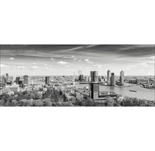 Photo en noir et blanc de la silhouette de Rotterdam avec des gratte-ciel et des voies navigables.