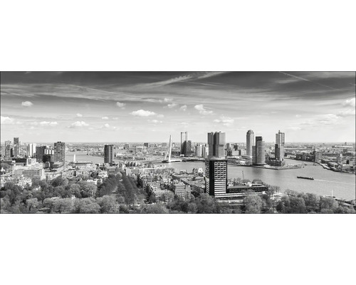 Vue panoramique en noir et blanc de Rotterdam avec vue sur les toits, le pont Érasme et la Nouvelle Meuse.