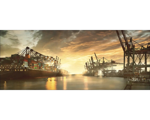 Vue du port avec porte-conteneurs et grues au coucher du soleil