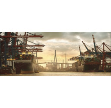 Vue du port avec porte-conteneurs et grues