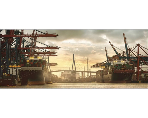 Tableau en verre Hamburg XXV 125x50 cm