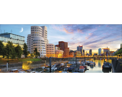 Panoramaansicht von Düsseldorf mit Gebäuden, Wasser und Booten.