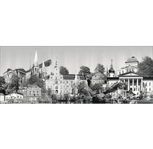 Panoramaansicht einer Stadt mit verschiedenen historischen Gebäuden und Türmen, umgeben von Bäumen.