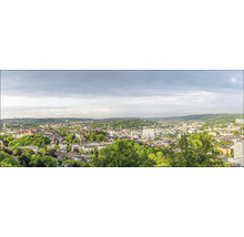 Vue panoramique d''une ville avec des bâtiments et beaucoup de verdure