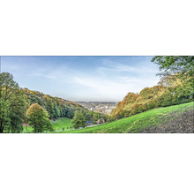 Photo panoramique d''un paysage avec des collines, des arbres et une ville en arrière-plan.
